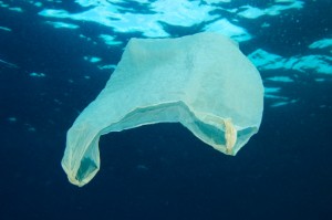 ocean-pollution-plastic-bag