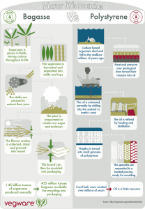 an infographic explaining bagasse vs polystyrene plastic production and how bagasse is made from renewable plant sources where polystyrene is made from fossil fuels